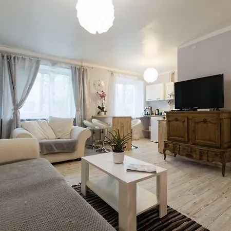 Light, Cozy Apartment *
